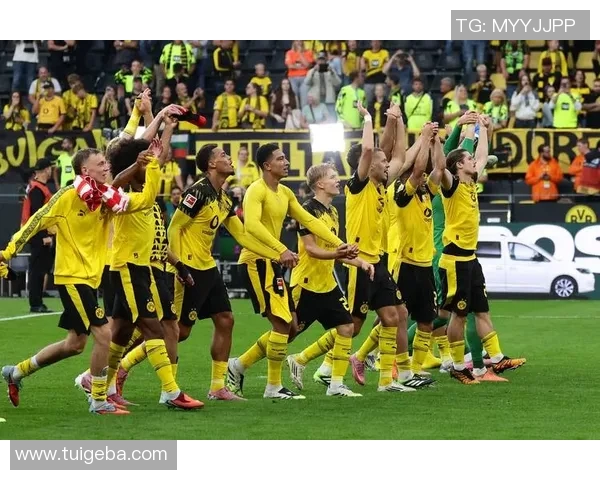 德甲各队射门数分析及其对比赛结果的影响研究